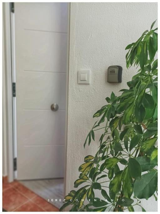 Atico En Pleno Centro De Jerez Sin Ascensor Apartment Jerez de la Frontera Exterior foto